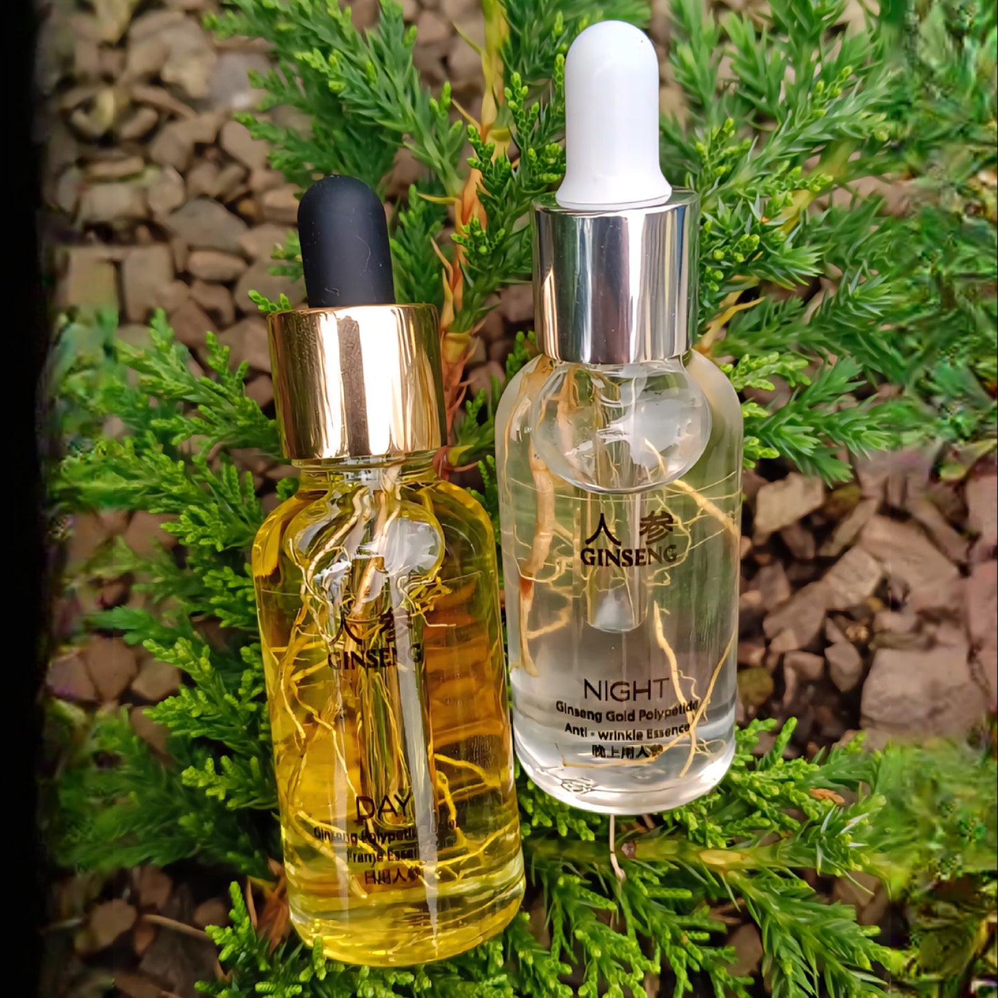 Ginseng Sérum Rejuvenecedor Pack Día y Noche